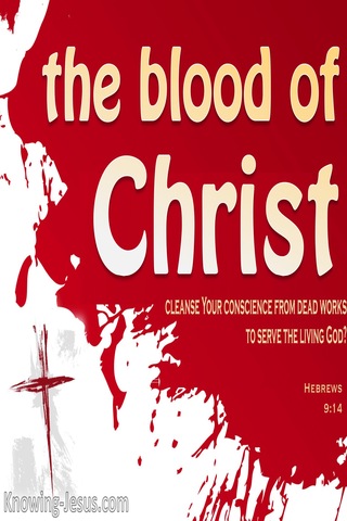 Hebrews 9:14 The Blood of Christ (gray)